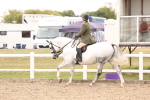SBM_16496