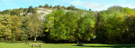 Loggerheads Country Park