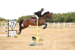 SBM_023890