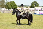 SBM_07131