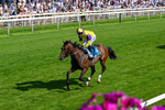 100726-Race 5-Dark Moon Rising-0363