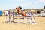 SBM_007315