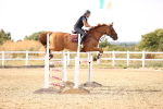 SBM_001667