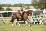 SBM_09150