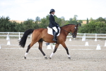 SBM_016064