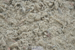 230504A-142302-02024