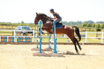 SBM_006177