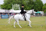 SBM_02937