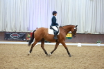 SBM_004219