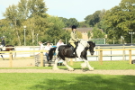 SBM_67607