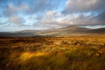 Across the Dale