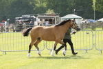 SBM_02083