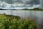 County Fermanagh portfolio