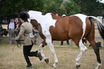 WJ6_8150