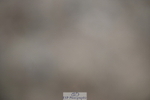 240611A-163624-00249