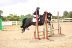 SBM_001622