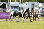 SBM_04299