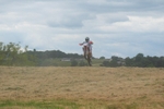 DSCF0763