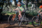 MTB XC Winter RND-6-145