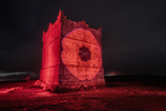 Rivington Pike Poppy