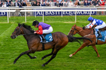 Race 3 2.55pm Support Macmillan Charity Raceday On 13 June Handicap portfolio