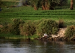 Egypt Street and River 3 2jpg