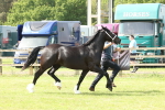 SBM_02362
