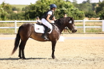 SBM_003534