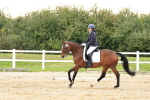 SBM_000162