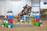 SBM_003091