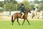 SBM_68083