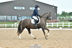 Cls 9 Quest Novice 28 portfolio