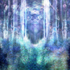 Dreamtime