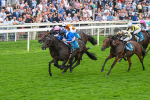 080925-Race 5-Elmonjed-7701