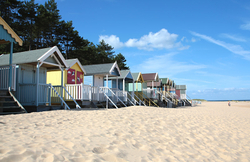 Norfolk portfolio