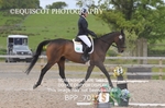 BPP_7017