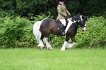 WJ7_2371
