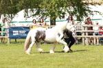 SBM_08550