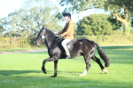 SBM_37348