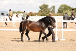 SBM_14008