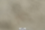 230314A-110735-00758