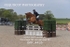 BPP_4435