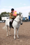 Class 212 Ridden Hunter - Small portfolio