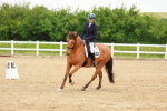 SBM_005328