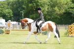 SBM_17580