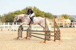 SBM_004288