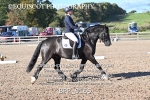 BPP_9165