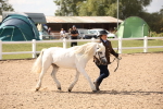 SBM_04532