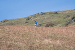 Black Combe-784