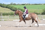 BPP_7084